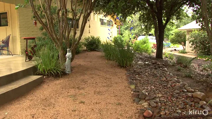Vegetable/orname...  no-lawn makeover|Ann & Robin ...