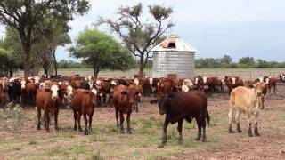 Agroempresa Argentina (Las Lajitas 02 - Salta)