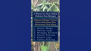 6 Weton Ini Akan Hidup Makmur Dan Bahagia #shorts