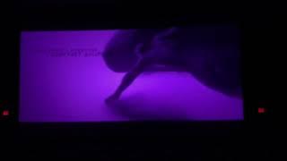 Black Panther - Best Audience Reaction (End Credits Roll)