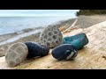 North Beach at Leland—Petoskey Stones and Leland Blue