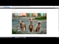 wordpress tutorial for beginners - create menu part 5