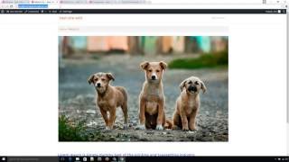 wordpress tutorial for beginners - create menu part 5
