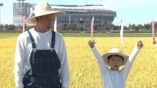 市川海老蔵、親子で稲刈り初挑戦！　息子・勸玄くんの好きなおかずは…