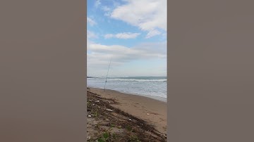 câu  cá  tiến  thành  phan thiết