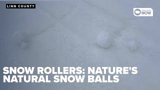 Snow Rollers: Nature's self-forming snowballs