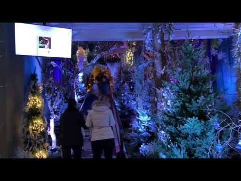 Intratuin duiven roltrap kerstshow 2020