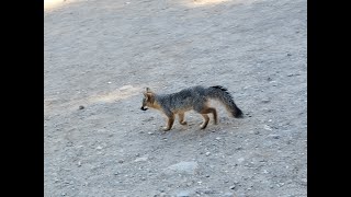 Santa Cruz Island in 2 mins