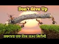 Don&#39;t Give Up सफलता एक दिन जरूर मिलेंगी ।Best Motivational Video @DeepakDaiya