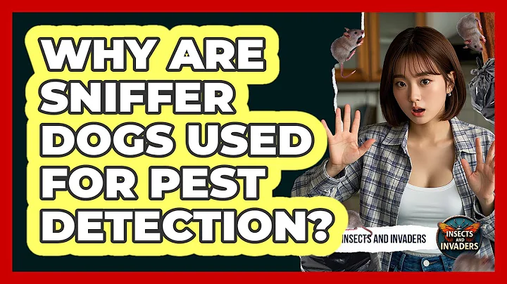 Why Are Sniffer Dogs Used For Pest Detection? - Insects and Invaders