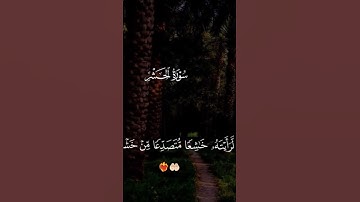 قرآن كريم بصوت جميل وهادئ🥹❤️✨️ #توكل_على_الله