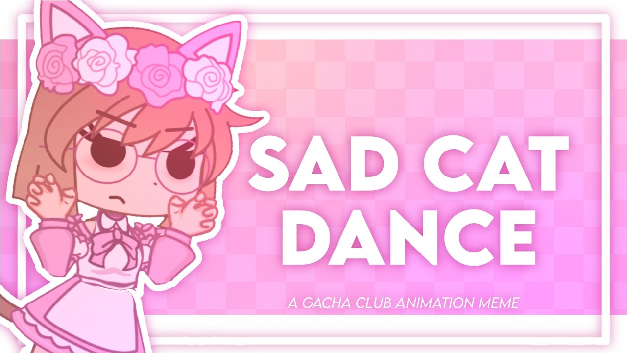 sad cat dance gacha