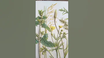 Botanical relief casting. Wild herbs. Farmhouse wall decor. Botanical bas relief.