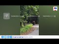 വളവ് തിരിഞ്ഞെത്തിയത് കാട്ടാനയ്ക്ക് മുന്നിലേക്ക്; അധ്യാപകന് അത്ഭുതരക്ഷപ്പെടൽ | Nelliyampathy