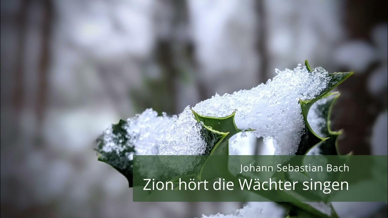 Zion hört die Wächter singen Johann