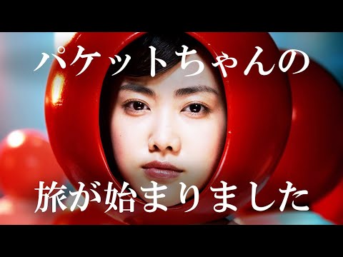 【IIJ CM】いんたーねっとエンジニア - 検索篇 -