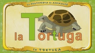 La Multipedia De Animales. Letra T - La Tortuga