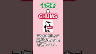 【十六茶×CHUMSキャンペーン】シールをめくって当たる！？キャンパーマグ型ポーチ