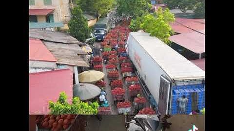 Những hình ảnh Lục Ngạn vào mùa vải thiều năm 2021