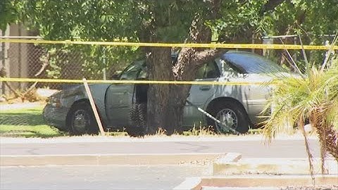 VIDEO: Man shot by officer after pointing gun at him, Mesa police say