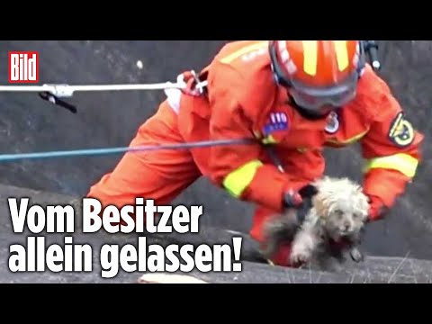 Video: Wie man Hunde mit Batteriesäure-Einnahme versorgt