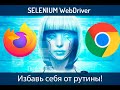 Selenium python. Урок 2. Поиск элементов на странице Firefox и Chrome