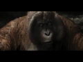 The Jungle Book VFX | Weta Digital