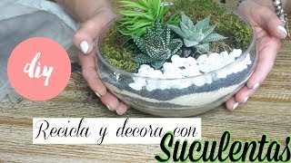 la con Suculentas RECICLANDO ENVASES Y DECORANDO ! - YouTube