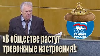 "Вы сами себе копаете могилу":  Жириновский предупредил единороссов.