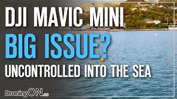 DJI Mavic Mini Uncontrolled Descent Into Sea | Max Power/Wind Issues/Operator Fail?