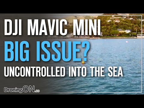 DJI Mavic Mini Uncontrolled Descent Into Sea | Max Power/Wind Issues/Operator Fail?