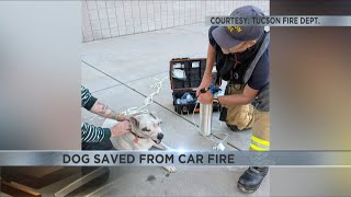 Bystanders save pets from car fire in Tucson