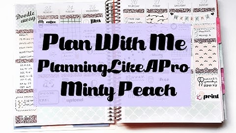 Plan As I Go PWM | Minty Peach Doodles | Recollections Planner | Planning Like A Pro