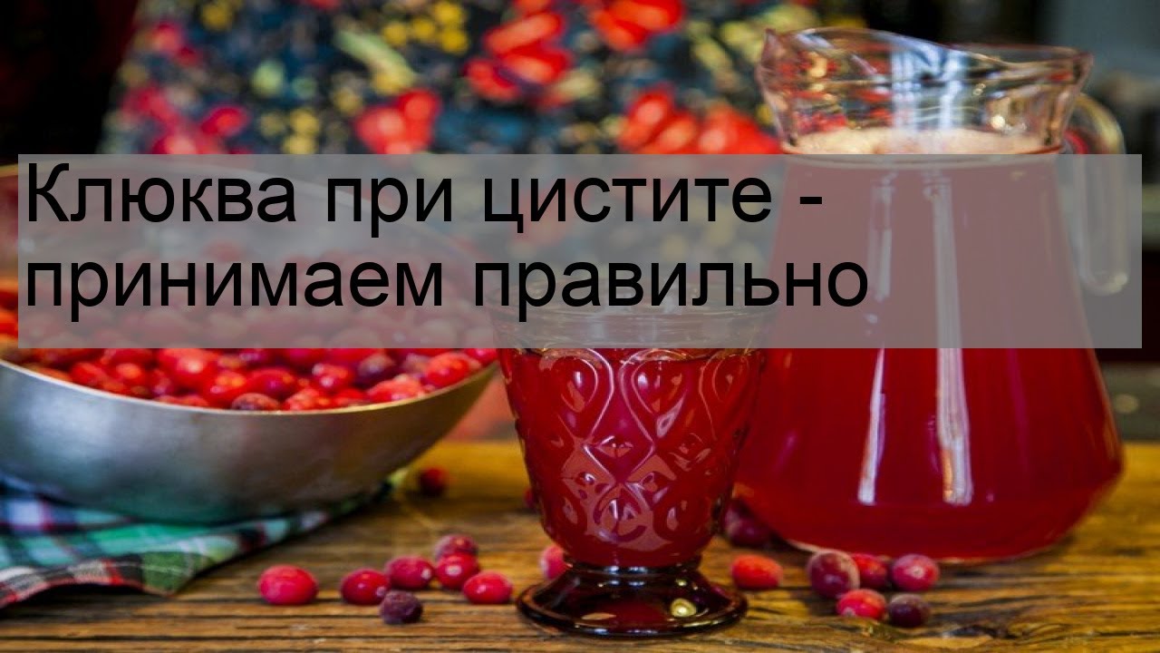 Клюква при цистите - принимаем правильно