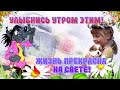 🌞С Добрым Утром! Улыбнись утром этим! Жизнь прекрасна на свете!😊