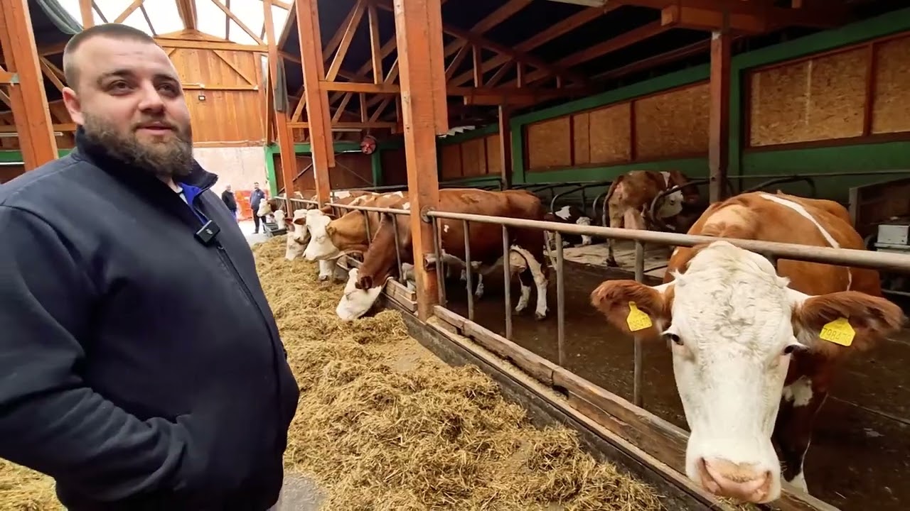 Farma muznih krava i moderni način proizvodnje mlijeka