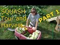 Squash Tour And Harvest Part 1