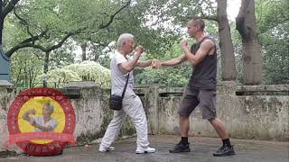 77-year-old Grandmaster Ho Wun-san Demonstrates Dragon Style Kung Fu  Techniques (Lung-ying kyun)