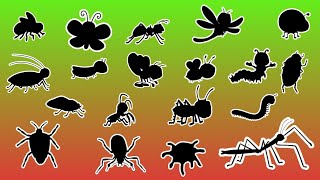 Insect Fun Facts | Insect Shadow Game for Kids 🐝🐜🦗🦟🐛 screenshot 1