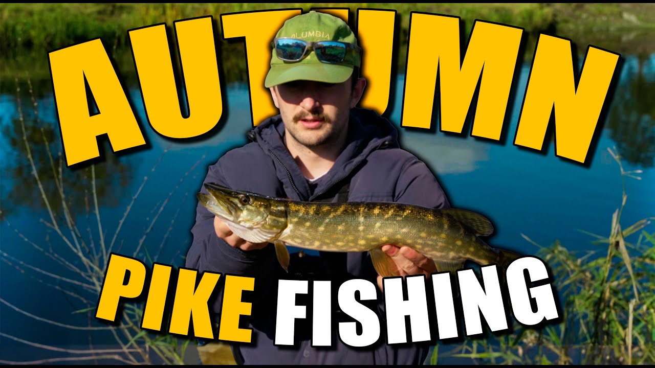 Autumn Pike Fishing in Ireland - South East