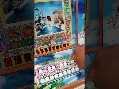 Yolanda - Casino San Nicolas