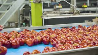 Blue Mountain Fruit Company, Packing Facility