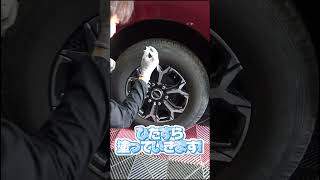 ホワイトレターが簡単に手に入る!!集中力との戦いですがww