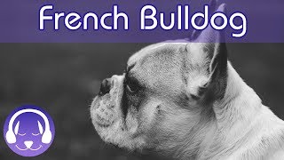 Music for French Bulldogs! Keep Your Frenchie Calm and Relaxed with this Soothing Music! screenshot 5