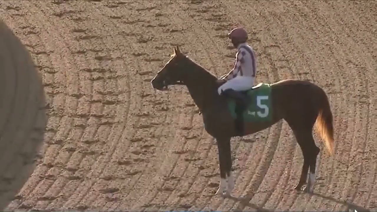 R11  Gulfstream 01 Mar 2026