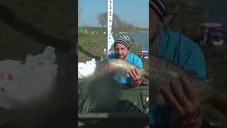 Am Rezolvat Situatia Ϟ