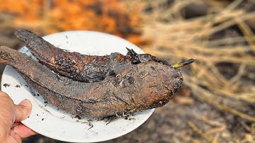 Cắm câu Cá lóc đồng nướng rơm – Món ngon tuổi thơ ai cũng mê