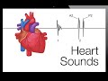 Heart Sounds And Murmurs شرح 