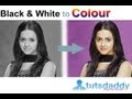 Converting Black and White Photo to Colour Photo - Photoshop Tutorial by tutsdaddy.com