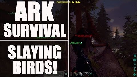 Ark Survival Evolved Raid - Aftermath Raid (Primitive Plus Raid, Official Server)